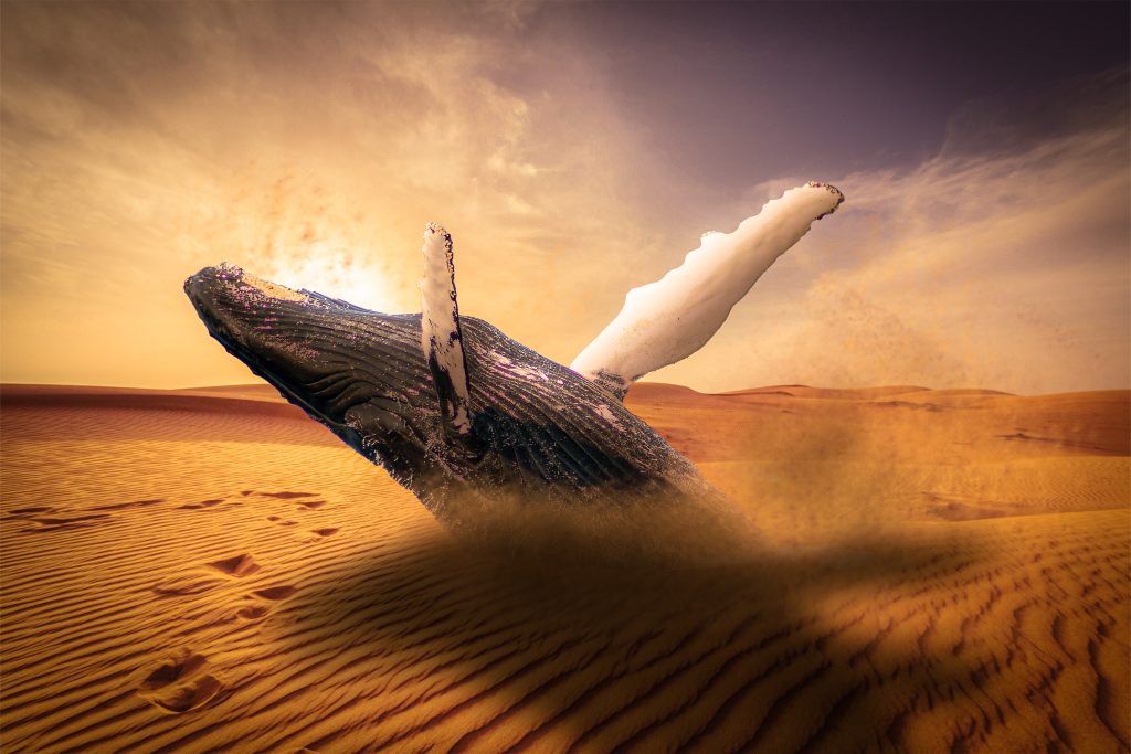 Sand_whale